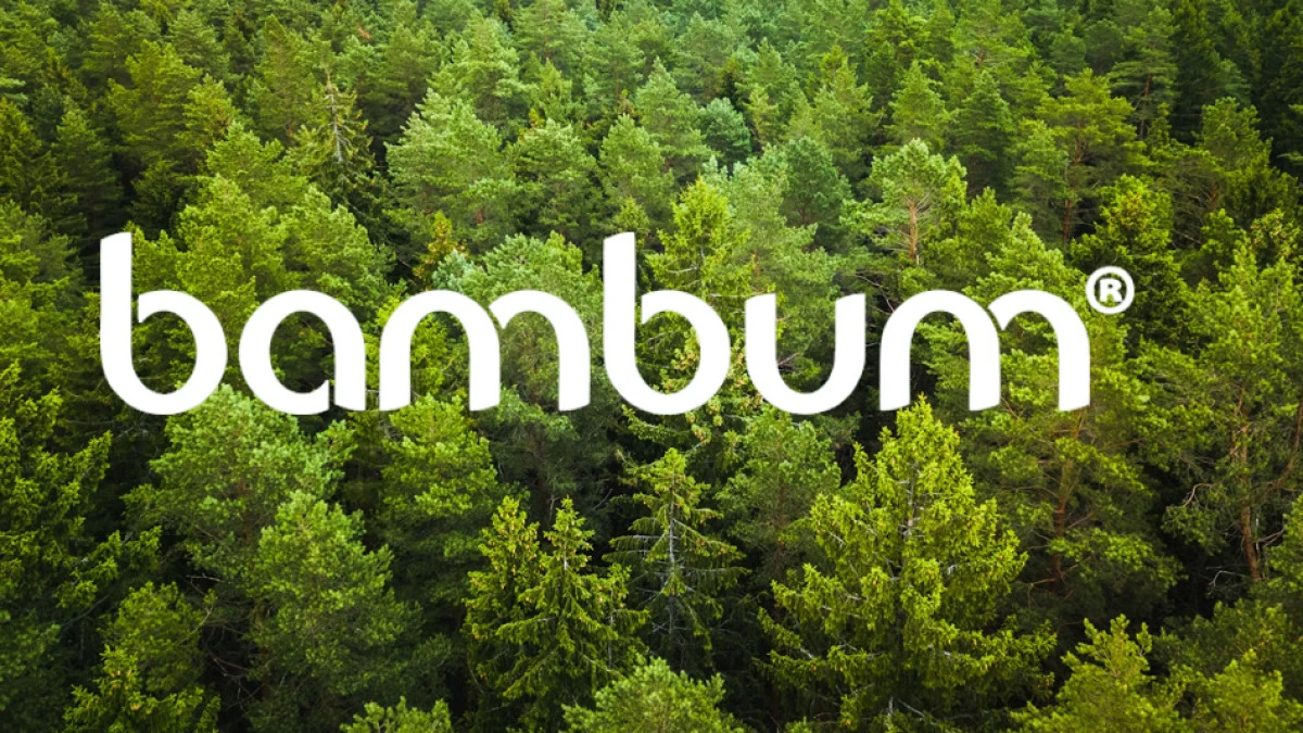 Bambum  81 ilde 100 bin fidanla seferberlik başlatıyor