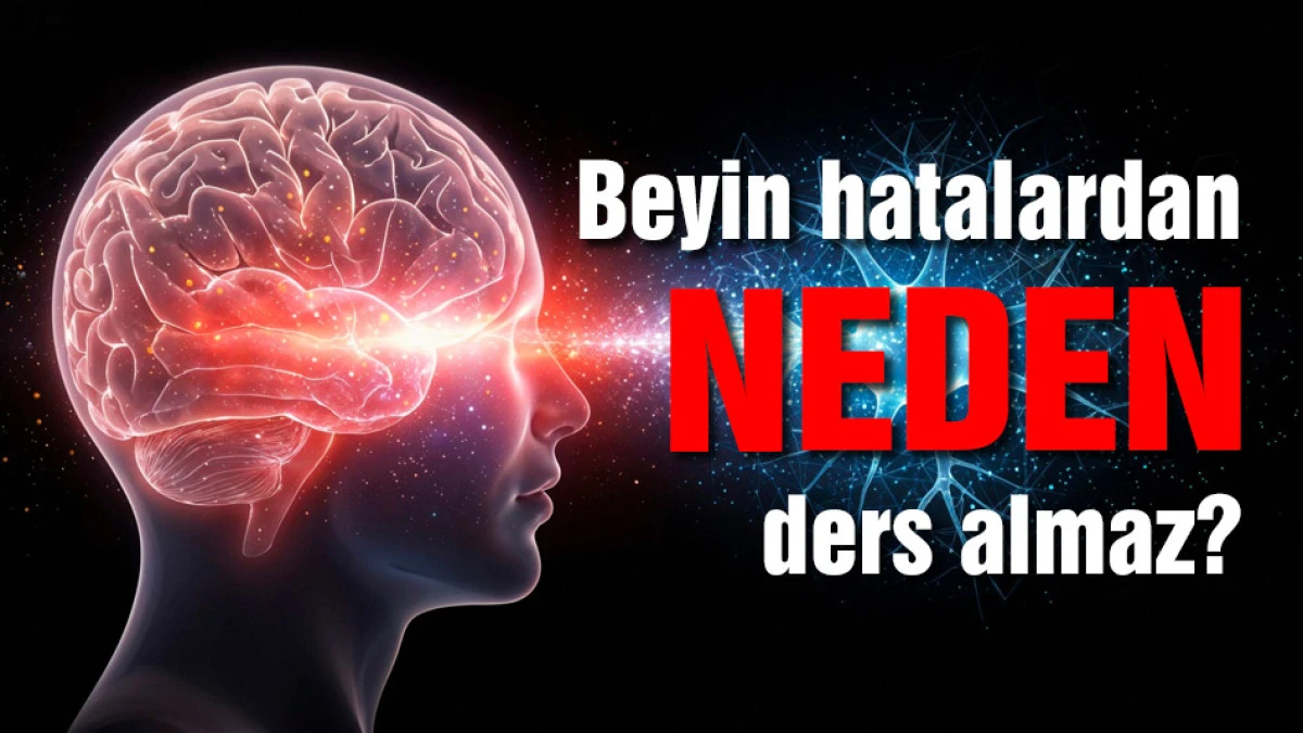 Beyin hatalardan neden ders almaz?