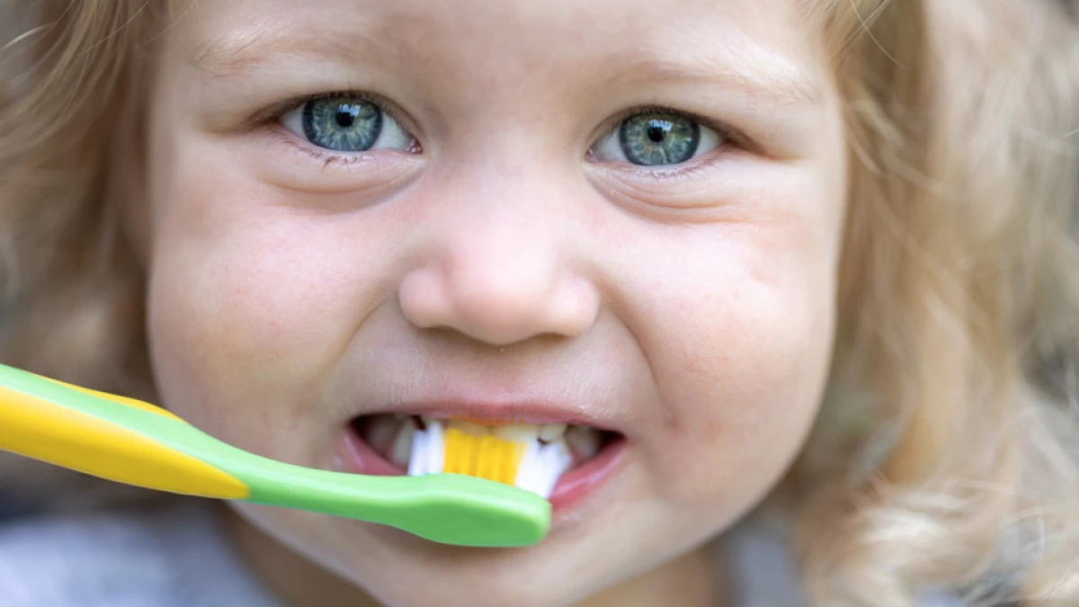 Bitkisel diş macunları &ccedil;ocuklar i&ccedil;in ne kadar g&uuml;venli?