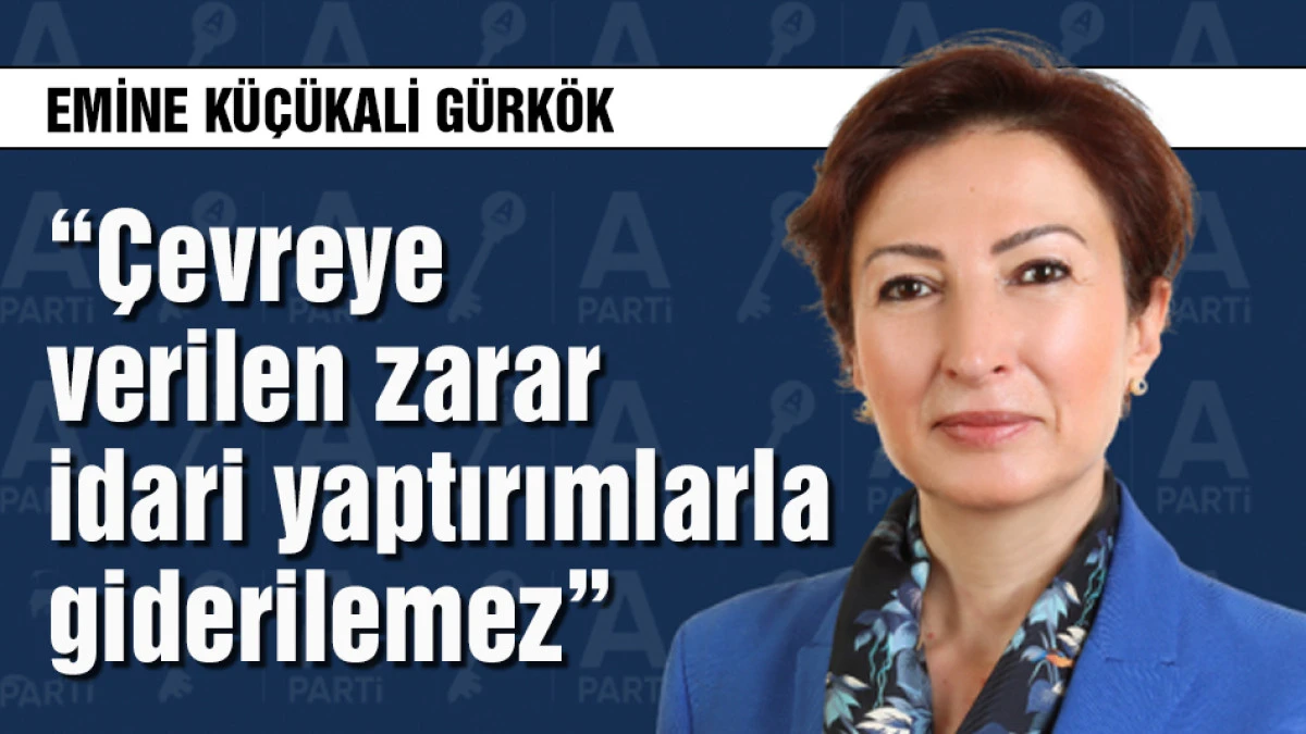 G&uuml;rk&ouml;k &ldquo;&Ccedil;evreye verilen zarar idari yaptırımlarla giderilemez&rdquo;