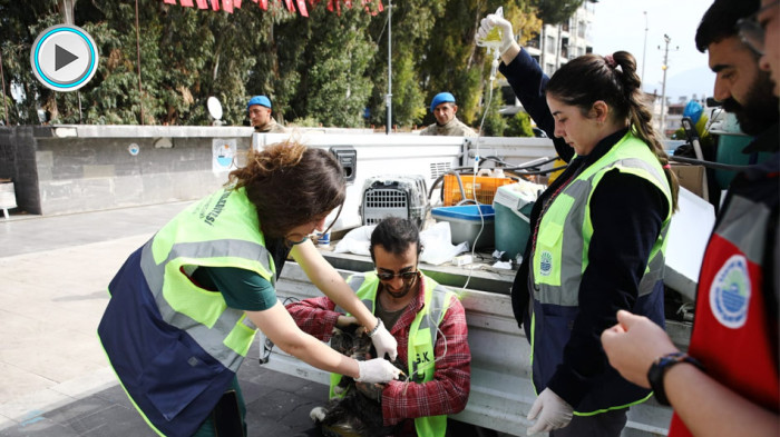 Sarıyer Belediyesi: “Hatay’da yaşayan hayvanları unutmadık”